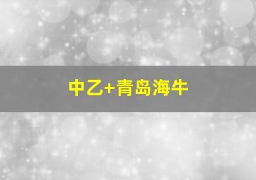 中乙 青岛海牛